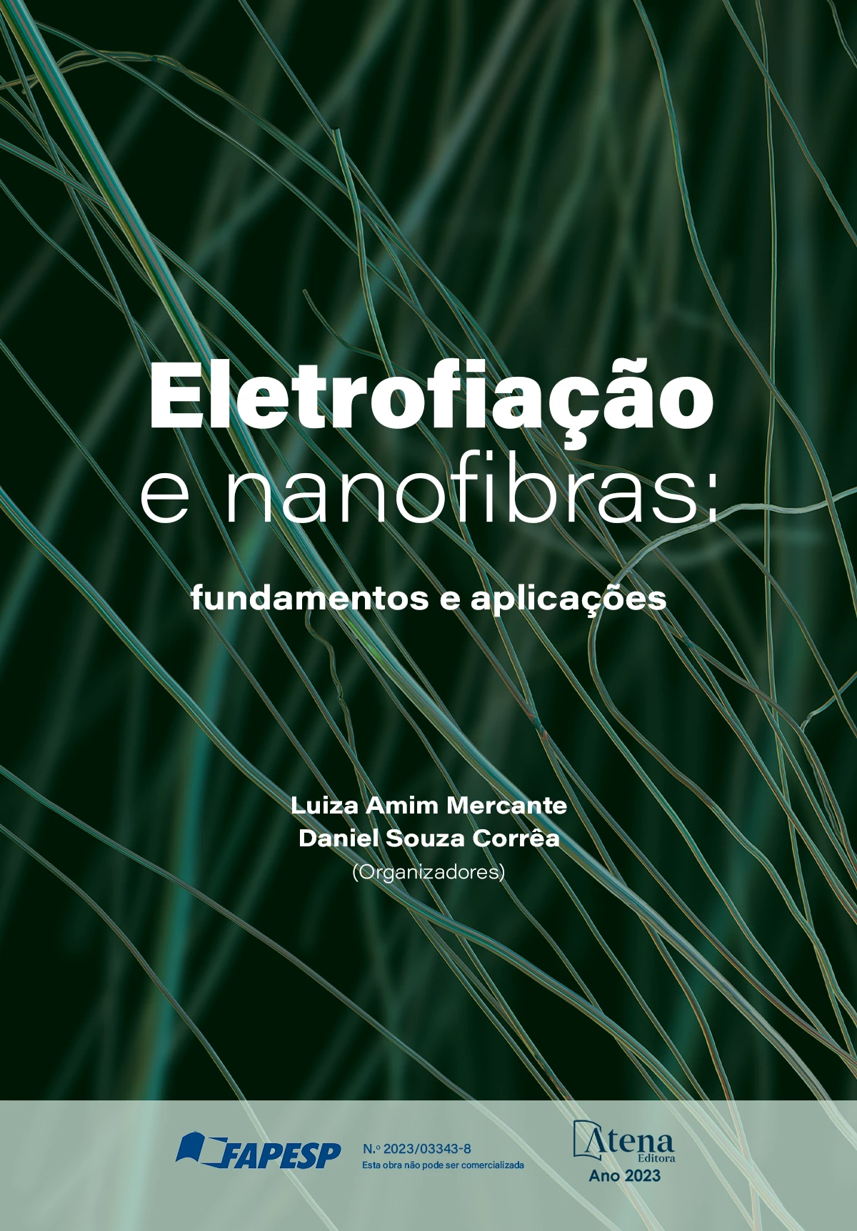 capa do ebook Eletrofiação e nanofibras: fundamentos e aplicações