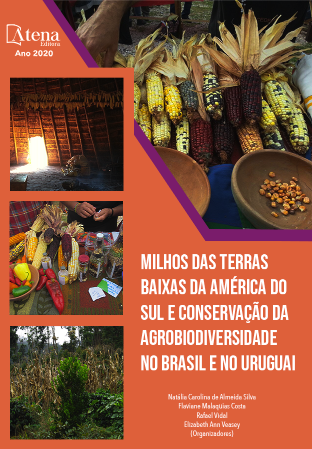 capa do ebook RESGATE DO MILHO PIPOCA NO URUGUAI